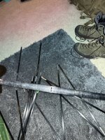 IMG_3581.jpeg