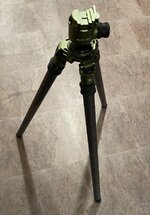 IMG_6365.jpeg