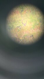 20250912_183750.jpg 20250912_183750.jpg
