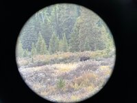 IMG_0984.jpg