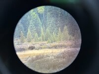 IMG_0987.jpg
