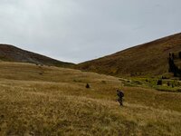 IMG_9179.jpeg