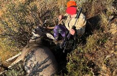 IMG_2716.jpeg