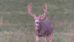 IMG_6748.jpeg