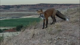 IMG_6868.jpeg