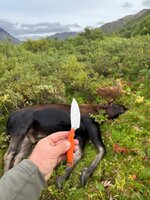 IMG_3301.jpeg