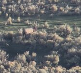IMG_1808.jpeg