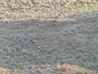 IMG_1796.jpeg