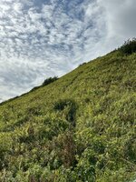 IMG_8759.jpeg