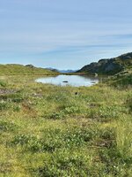 IMG_8635.jpeg