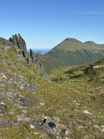 IMG_8563.jpeg