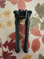 IMG_5998.jpeg