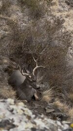 IMG_4187.jpeg