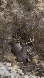 IMG_4186.jpeg