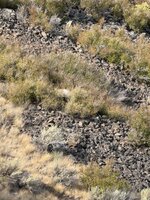 IMG_4185.jpeg