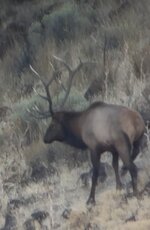 IMG_4172.jpeg