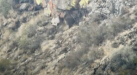 IMG_4403.jpeg
