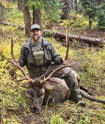 elk.jpg elk.jpg