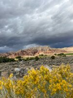 IMG_5510.jpeg
