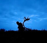 IMG_7064.jpg