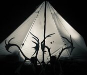IMG_7128.jpg