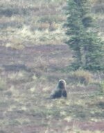 IMG_7095.jpg