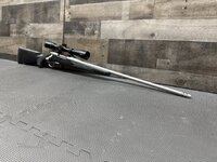IMG_4287.jpeg
