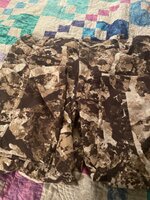 IMG_8103.jpeg