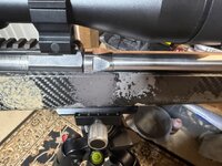IMG_7481.jpeg