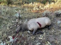 IMG_1557.jpeg