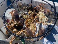 IMG_6393.jpeg