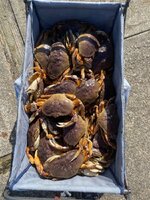 IMG_6399.jpeg