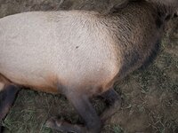 IMG_7799.jpeg