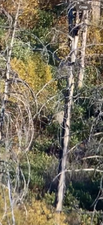 IMG_6167.png