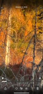 IMG_6166.png