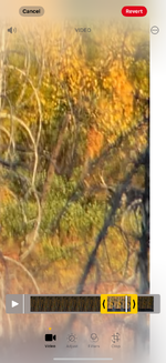IMG_6165.png