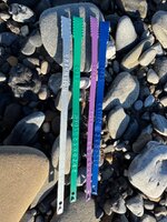IMG_8925.jpeg IMG_8925.jpeg