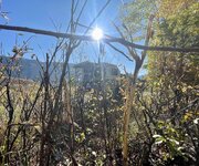IMG_9266.jpeg