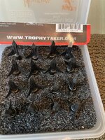 IMG_6275.jpeg