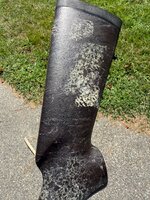 IMG_3910.jpeg