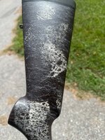 IMG_3911.jpeg