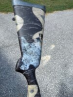 IMG_3913.jpeg