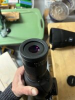 IMG_4886.jpeg