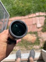IMG_7371.jpeg