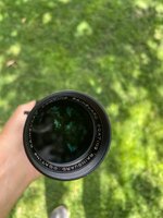 IMG_7372.jpeg