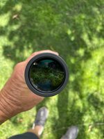 IMG_7373.jpeg