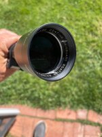 IMG_7369.jpeg