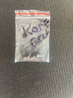 IMG_8126.jpeg