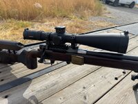 IMG_5075.jpeg