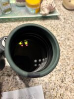 IMG_6789.jpeg